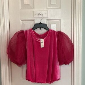 Anthropologie Hot Pink Velvet Top with Sheer Puff Sleeves